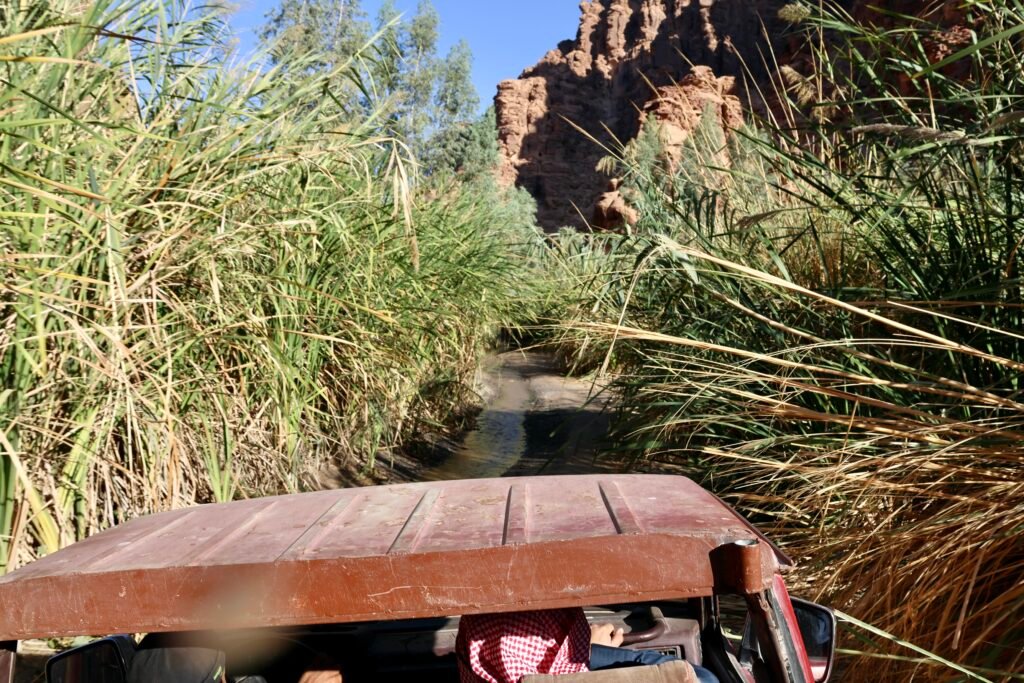 saoedi arabië 2025 11 06 (123)